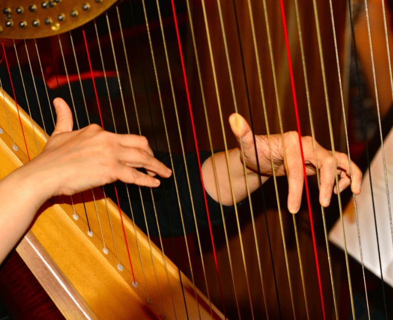 cours de harpe à domicile icm musique