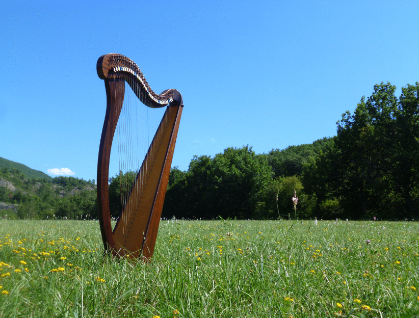 cours de harpe à domicile icm