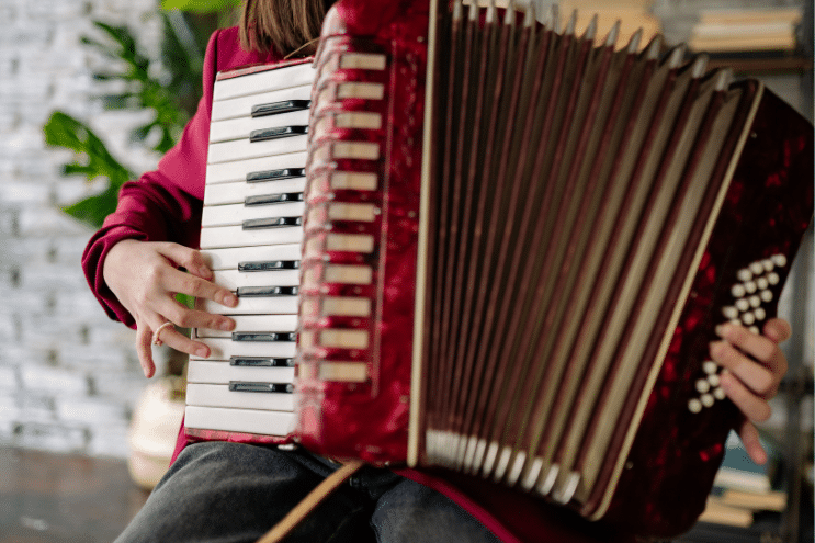 accordéon chromatique ou accordéon diatonique cours à domicile icm