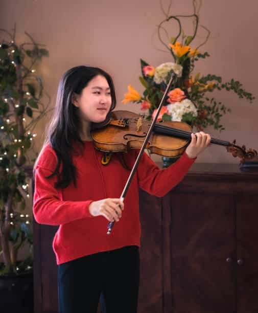cours de violon à domicile pour Noël icm