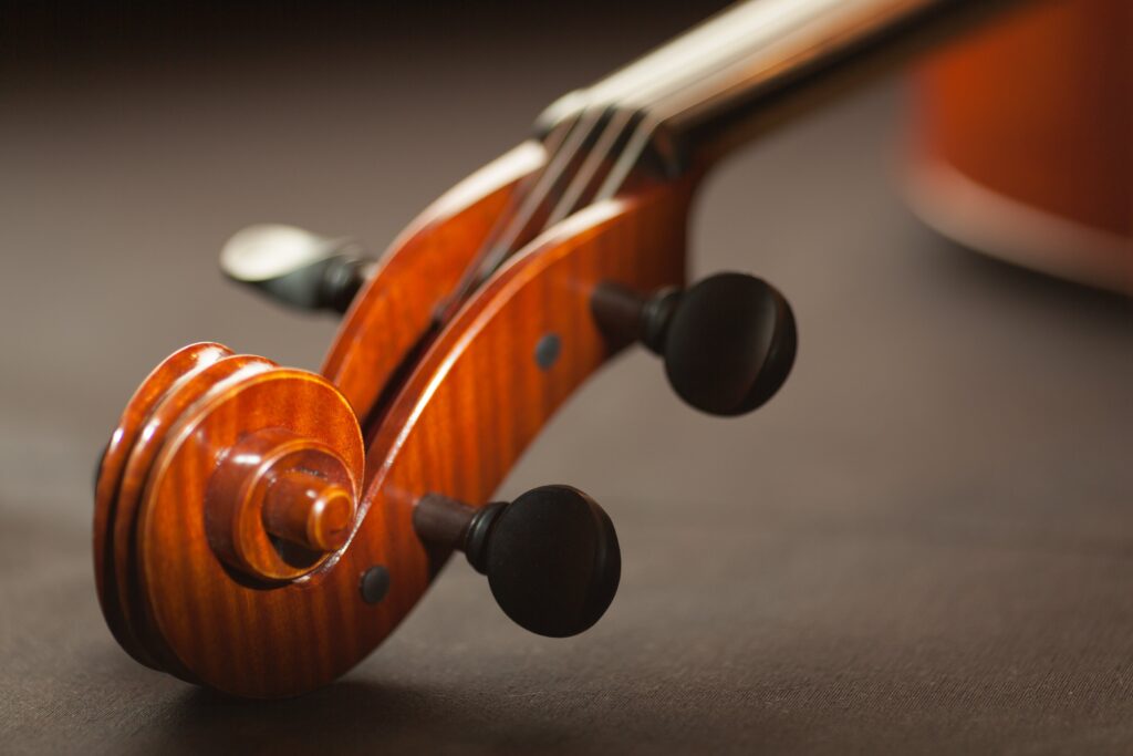 instruments de musique cours de violon à domicile icm
