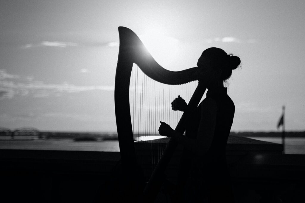 des cours de harpe à domicile icm