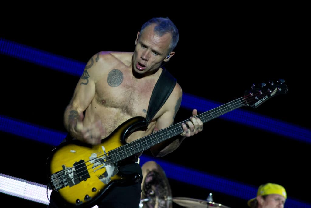 Red Hot Chili Peppers concert de rock cours à domicile icm